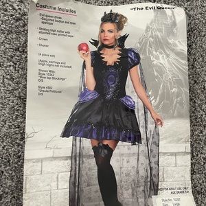 Evil Queen Costume